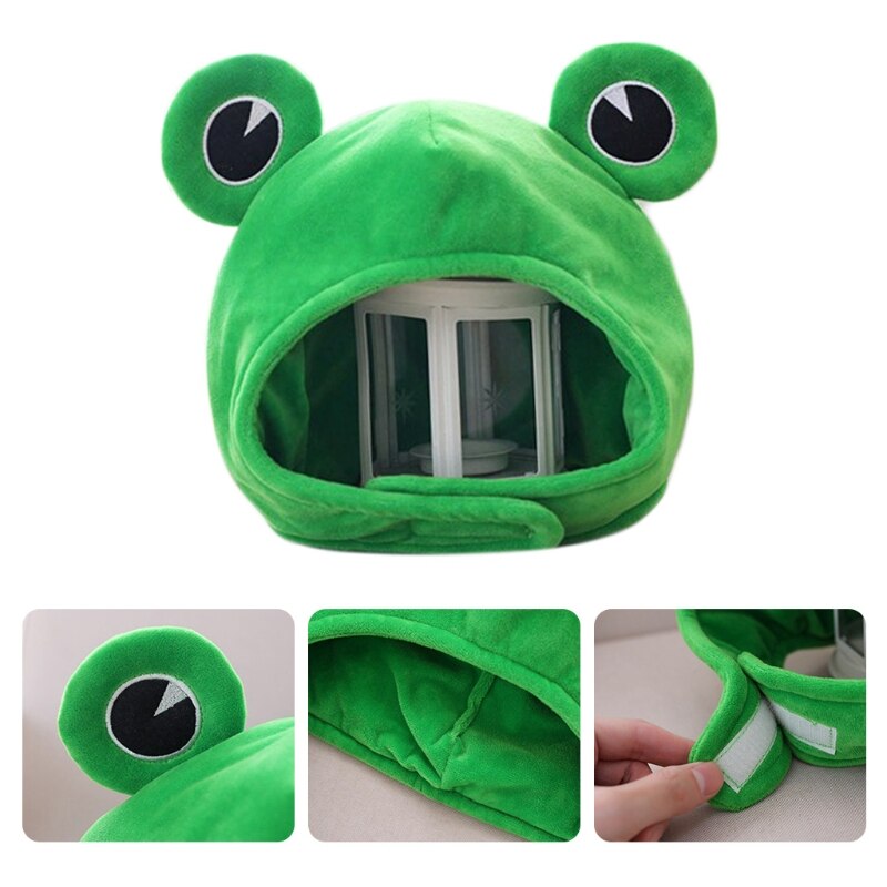 Franky’s Frog Hat